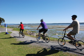 Cycle tours Tauranga, Bike Hire, Tauranga tours, day tours, Rotorua Geothermal cycle, guided tours